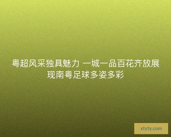 粤超风采独具魅力 一城一品百花齐放展现南粤足球多姿多彩 粤超风采独具魅力 一城一品百花齐放展现南粤足球多姿多彩