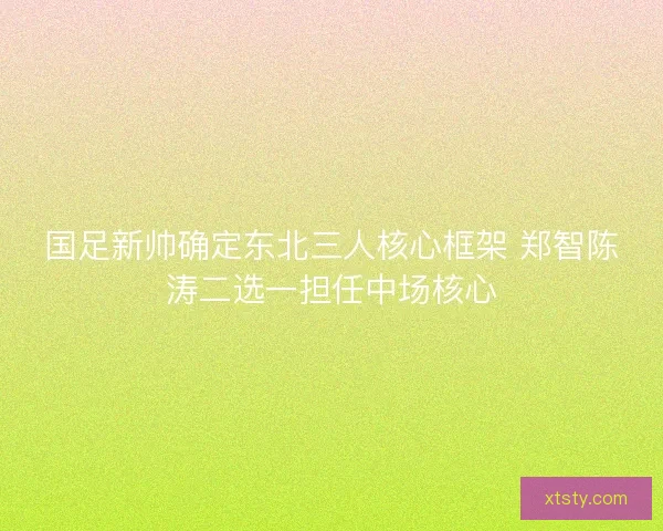 国足新帅确定东北三人核心框架 郑智陈涛二选一担任中场核心