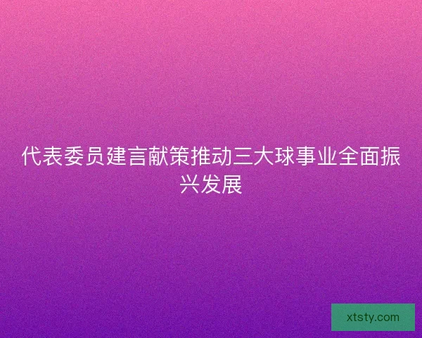 代表委员建言献策推动三大球事业全面振兴发展 代表委员建言献策推动三大球事业全面振兴发展